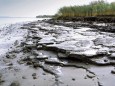 The Neßsand peninsula in the Elbe estuary (© BSU)