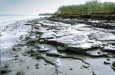 The Neßsand peninsula / Elbe  (© BSU)
