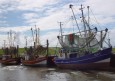 Old fisher boats at the port of Dorum / Elbe  (© HPA)